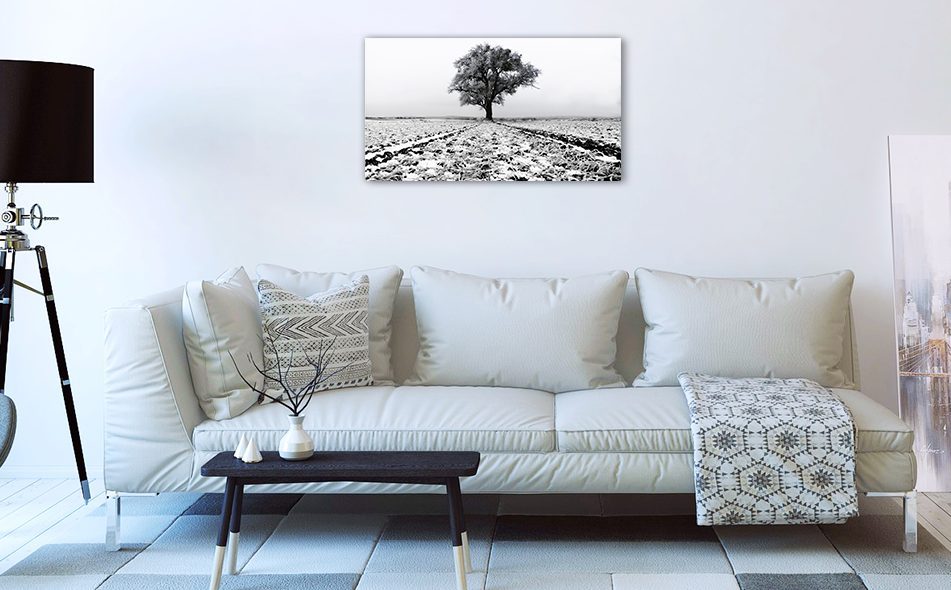 Cadre photo Arbre dans un champ gelé en Alu Dibond ou Plexiglass - Oculi Luxembourg