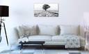 Cadre photo Arbre dans un champ gelé en Alu Dibond ou Plexiglass - Oculi Luxembourg