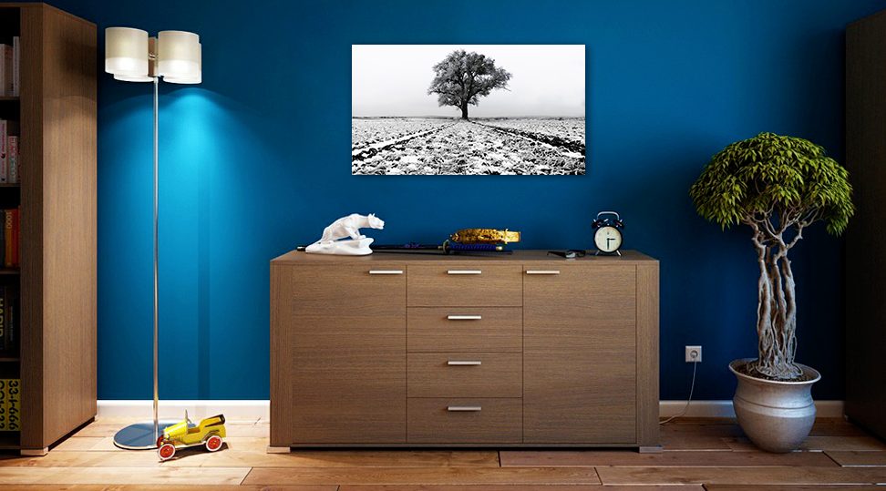 Tableau mural Arbre dans un champ gelé dans un salon épuré - Photographie belge Oculi