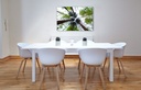 Tableau mural Séquoia du Hallerbos dans un intérieur apaisant - Photographie belge Oculi