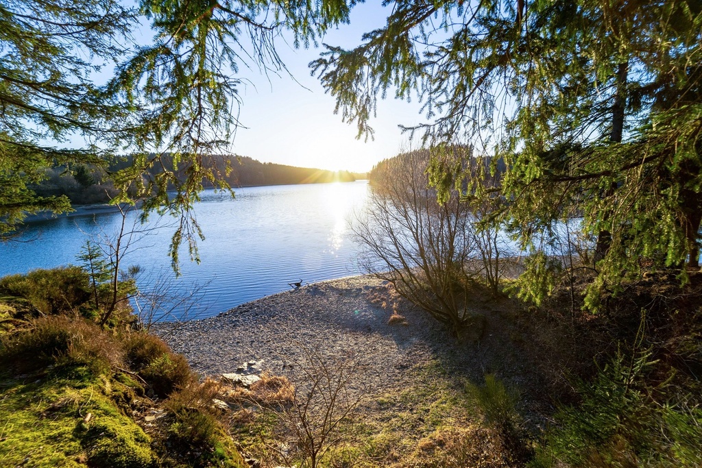 Lac de Butgenbach (M (60x40cm), Alu Dibond)
