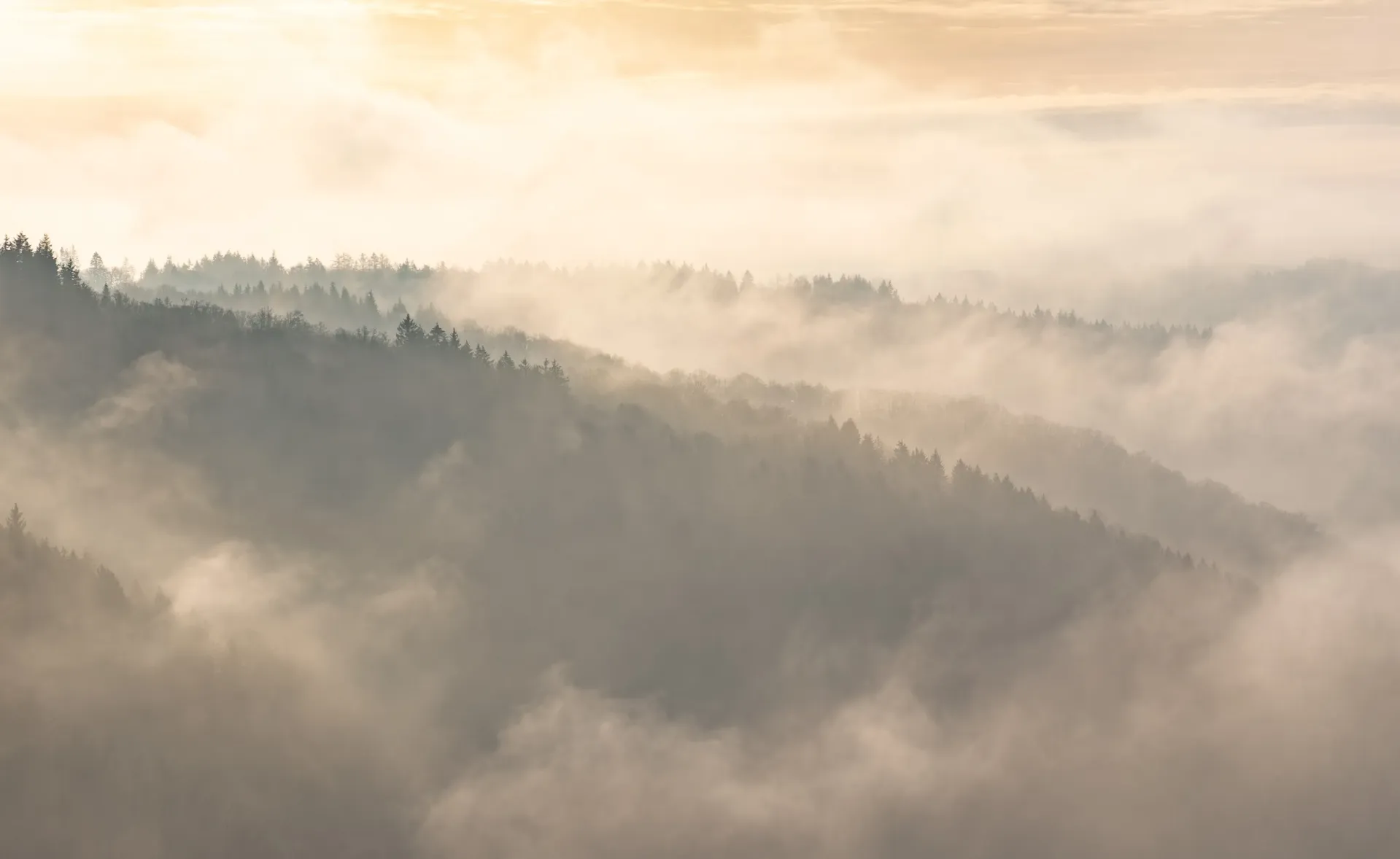 Brume dorée Bouillon