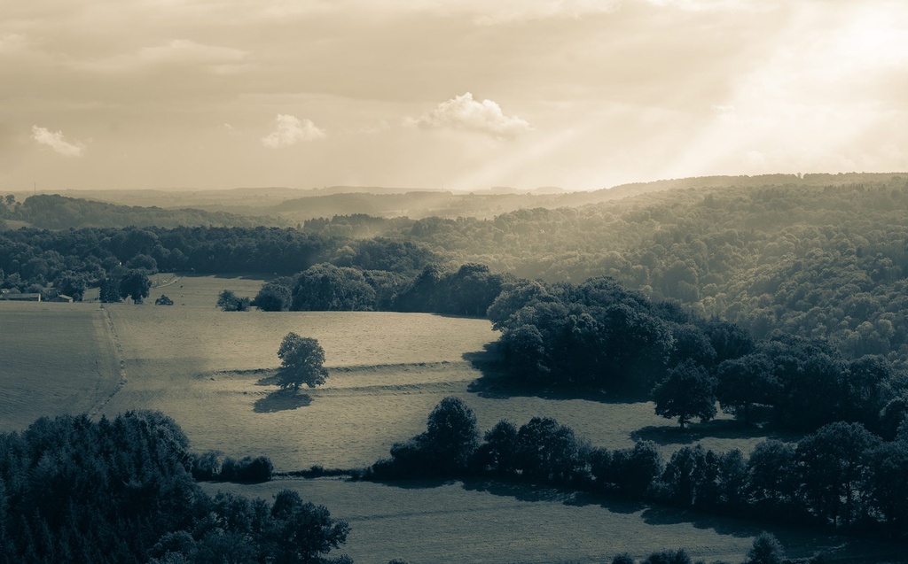 Roche-aux-faucons  (M (60x40cm), Alu Dibond)