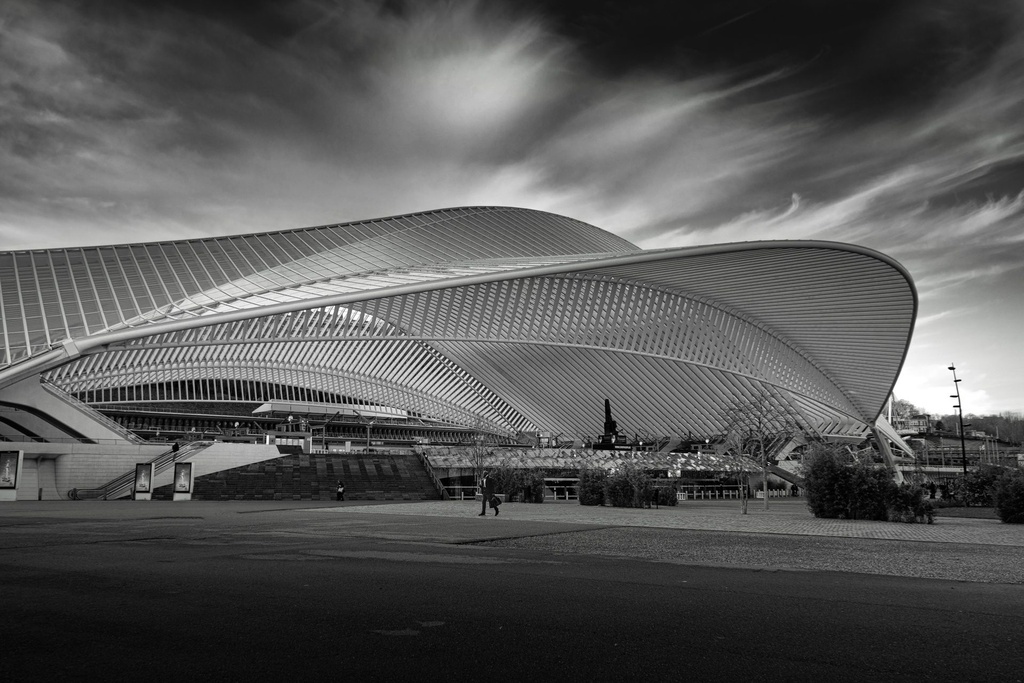 Gare des Guillemins (M (60x40cm), Alu Dibond)